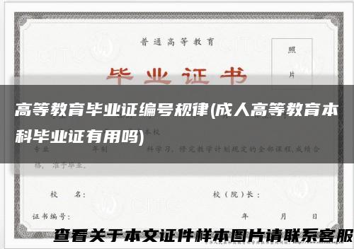 高等教育毕业证编号规律(成人高等教育本科毕业证有用吗)缩略图