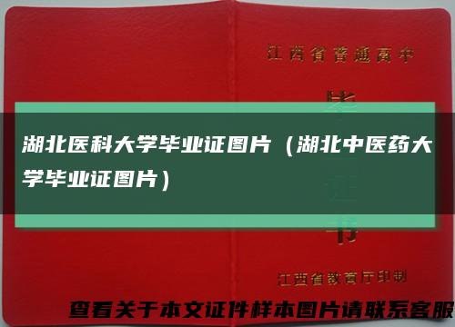 湖北医科大学毕业证图片（湖北中医药大学毕业证图片）缩略图