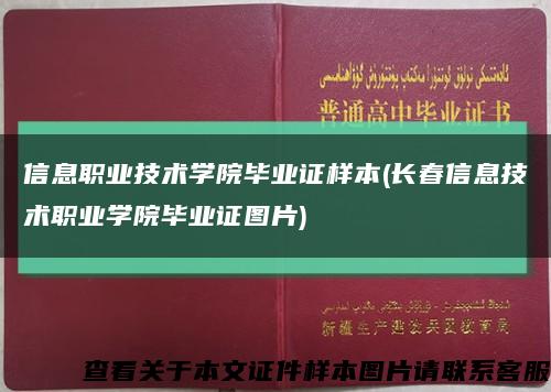 信息职业技术学院毕业证样本(长春信息技术职业学院毕业证图片)缩略图