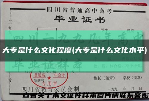 大专是什么文化程度(大专是什么文化水平)缩略图