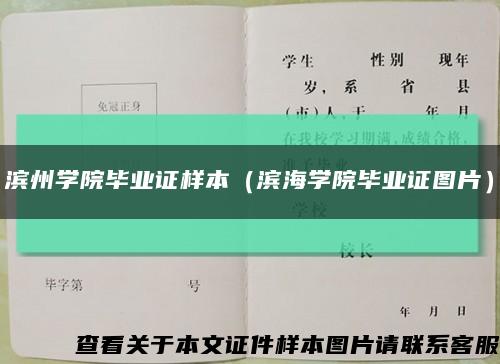 滨州学院毕业证样本（滨海学院毕业证图片）缩略图