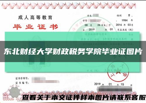 东北财经大学财政税务学院毕业证图片缩略图