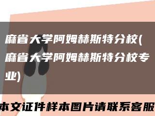 麻省大学阿姆赫斯特分校(麻省大学阿姆赫斯特分校专业)缩略图