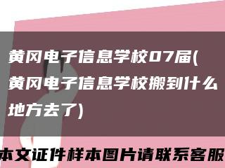 黄冈电子信息学校07届(黄冈电子信息学校搬到什么地方去了)缩略图