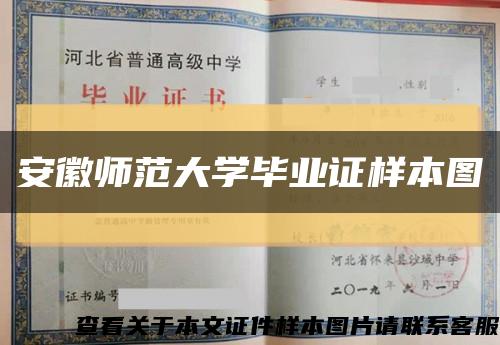 安徽师范大学毕业证样本图缩略图