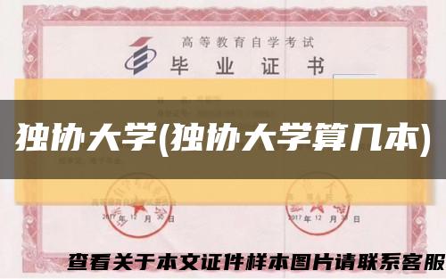 独协大学(独协大学算几本)缩略图