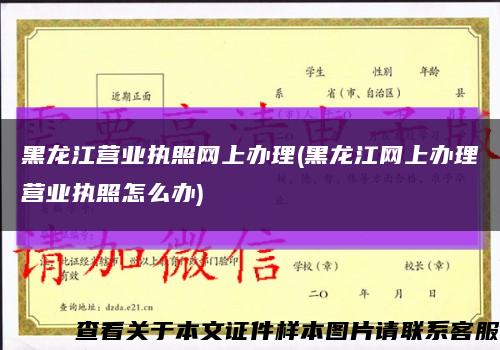 黑龙江营业执照网上办理(黑龙江网上办理营业执照怎么办)缩略图