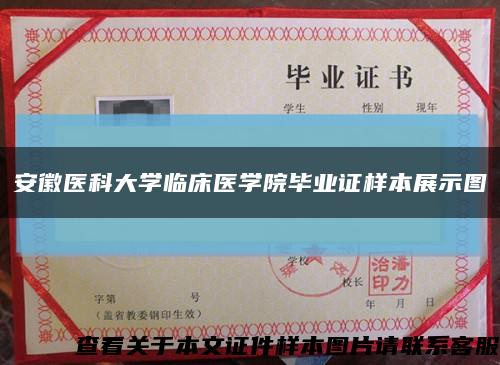 安徽医科大学临床医学院毕业证样本展示图缩略图