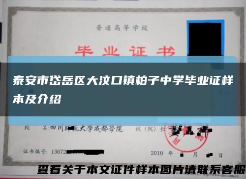 泰安市岱岳区大汶口镇柏子中学毕业证样本及介绍缩略图