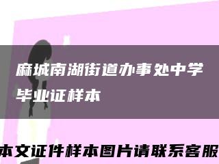 麻城南湖街道办事处中学毕业证样本缩略图