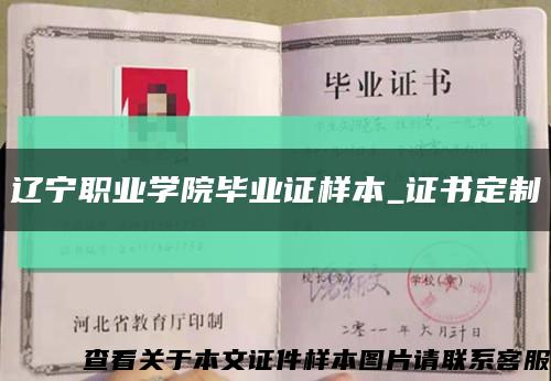 辽宁职业学院毕业证样本_证书定制缩略图