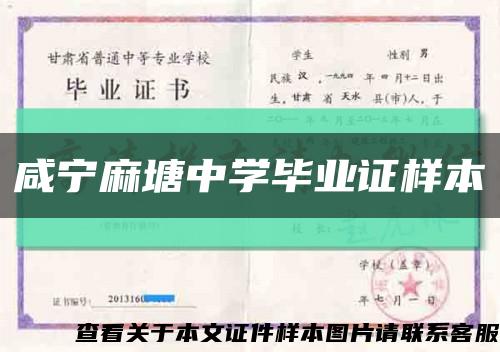 咸宁麻塘中学毕业证样本缩略图