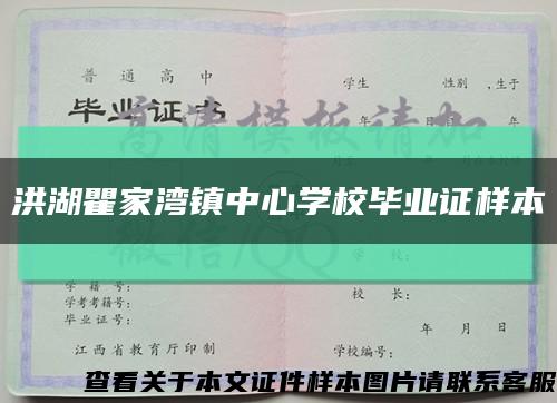 洪湖瞿家湾镇中心学校毕业证样本缩略图