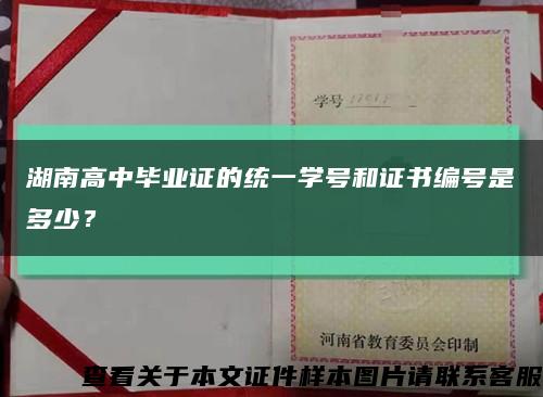 湖南高中毕业证的统一学号和证书编号是多少？缩略图