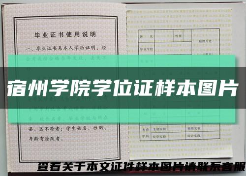 宿州学院学位证样本图片缩略图