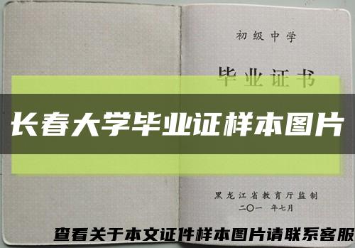 长春大学毕业证样本图片缩略图