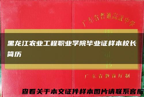 黑龙江农业工程职业学院毕业证样本校长简历缩略图