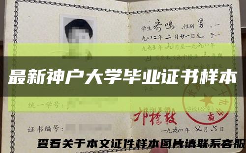 最新神户大学毕业证书样本缩略图