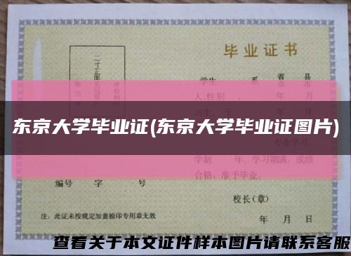 东京大学毕业证(东京大学毕业证图片)缩略图