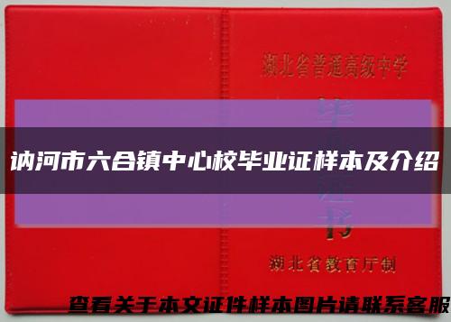 讷河市六合镇中心校毕业证样本及介绍缩略图