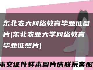 东北农大网络教育毕业证图片(东北农业大学网络教育毕业证照片)缩略图