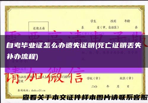 自考毕业证怎么办遗失证明(死亡证明丢失补办流程)缩略图