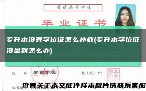 专升本没有学位证怎么补救(专升本学位证没拿到怎么办)缩略图