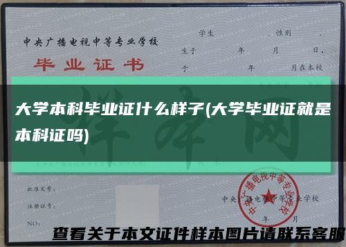 大学本科毕业证什么样子(大学毕业证就是本科证吗)缩略图