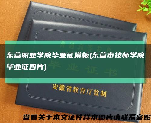 东营职业学院毕业证模板(东营市技师学院毕业证图片)缩略图