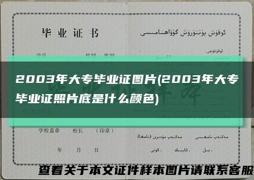 2003年大专毕业证图片(2003年大专毕业证照片底是什么颜色)缩略图