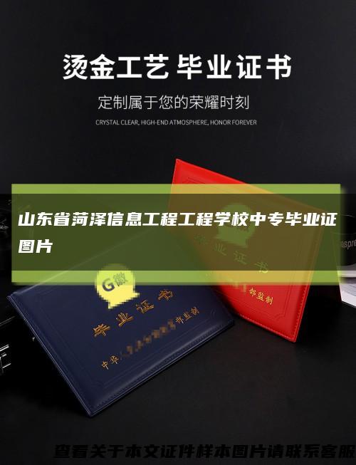 山东省菏泽信息工程工程学校中专毕业证图片缩略图