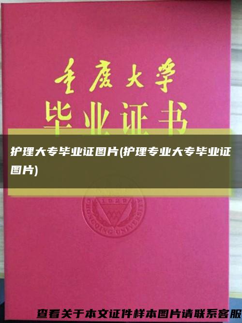 护理大专毕业证图片(护理专业大专毕业证图片)缩略图