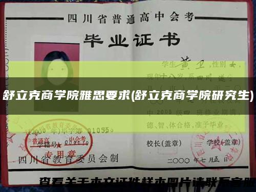 舒立克商学院雅思要求(舒立克商学院研究生)缩略图