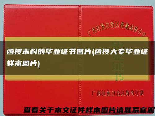 函授本科的毕业证书图片(函授大专毕业证样本图片)缩略图