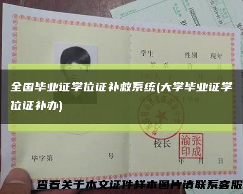 全国毕业证学位证补救系统(大学毕业证学位证补办)缩略图