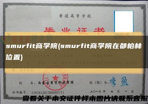 smurfit商学院(smurfit商学院在都柏林位置)缩略图