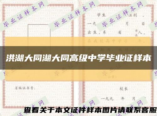 洪湖大同湖大同高级中学毕业证样本缩略图