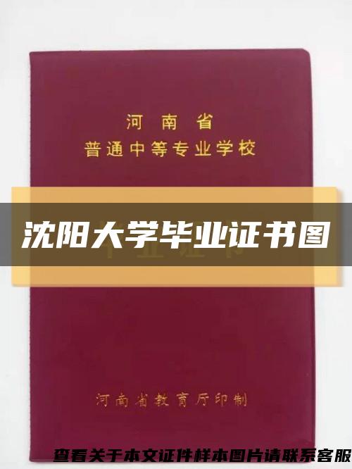 沈阳大学毕业证书图缩略图