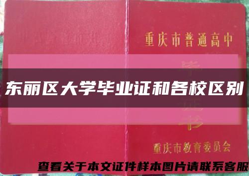 东丽区大学毕业证和各校区别缩略图