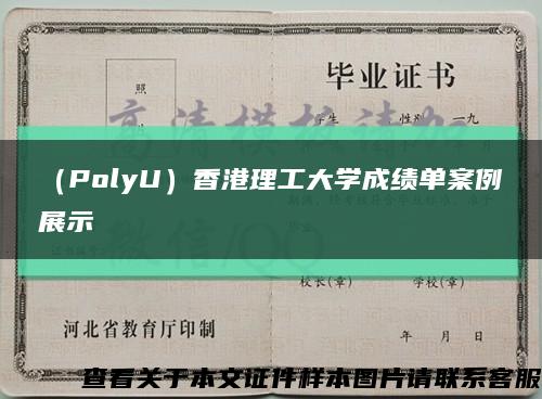 （PolyU）香港理工大学成绩单案例展示缩略图