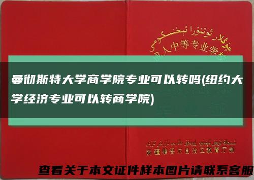 曼彻斯特大学商学院专业可以转吗(纽约大学经济专业可以转商学院)缩略图