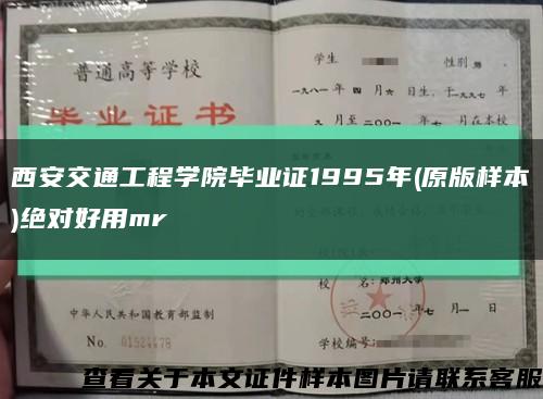 西安交通工程学院毕业证1995年(原版样本)绝对好用mr缩略图