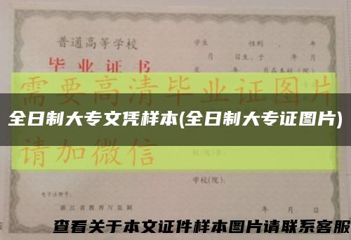 全日制大专文凭样本(全日制大专证图片)缩略图