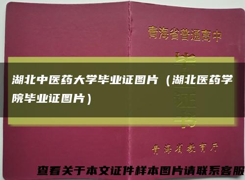 湖北中医药大学毕业证图片（湖北医药学院毕业证图片）缩略图