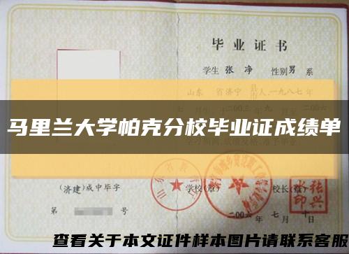 马里兰大学帕克分校毕业证成绩单缩略图