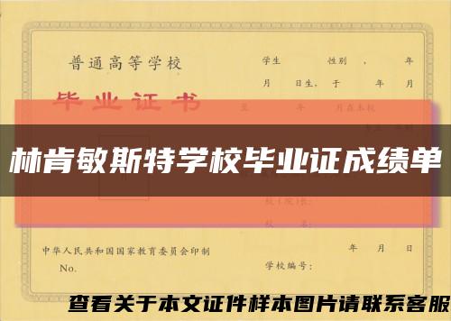 林肯敏斯特学校毕业证成绩单缩略图