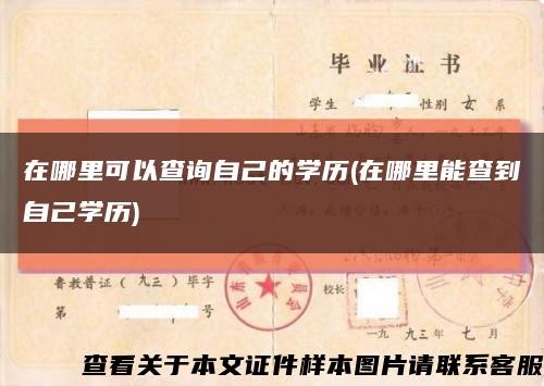 在哪里可以查询自己的学历(在哪里能查到自己学历)缩略图