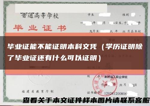 毕业证能不能证明本科文凭（学历证明除了毕业证还有什么可以证明）缩略图