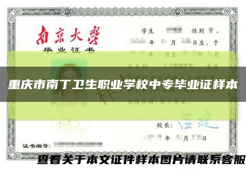 重庆市南丁卫生职业学校中专毕业证样本缩略图