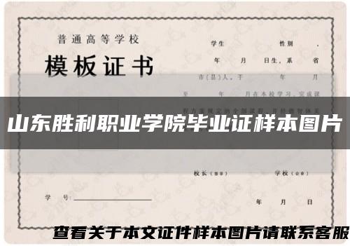 山东胜利职业学院毕业证样本图片缩略图